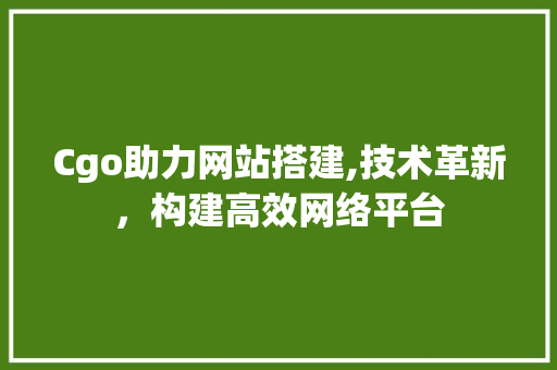 Cgo助力网站搭建,技术革新，构建高效网络平台