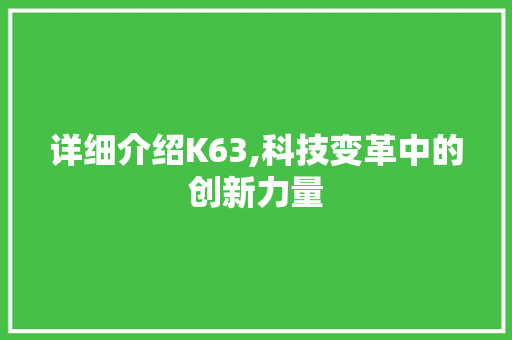 详细介绍K63,科技变革中的创新力量