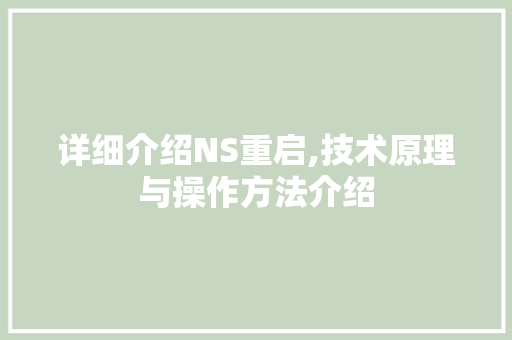 详细介绍NS重启,技术原理与操作方法介绍