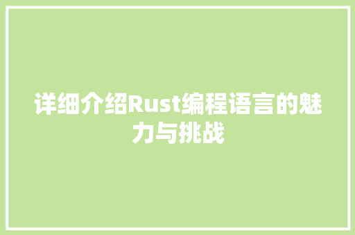 详细介绍Rust编程语言的魅力与挑战