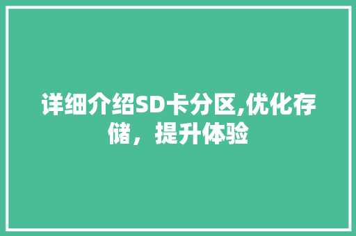 详细介绍SD卡分区,优化存储，提升体验