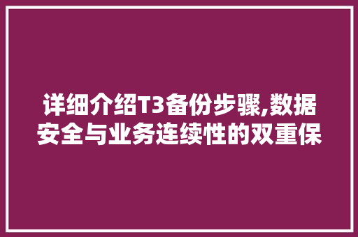 详细介绍T3备份步骤,数据安全与业务连续性的双重保障