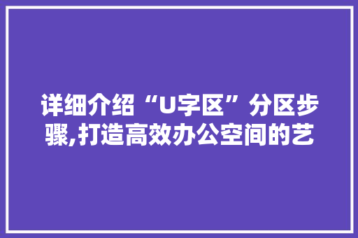 详细介绍“U字区”分区步骤,打造高效办公空间的艺术