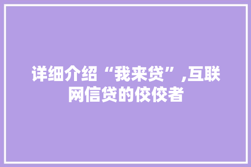 详细介绍“我来贷”,互联网信贷的佼佼者