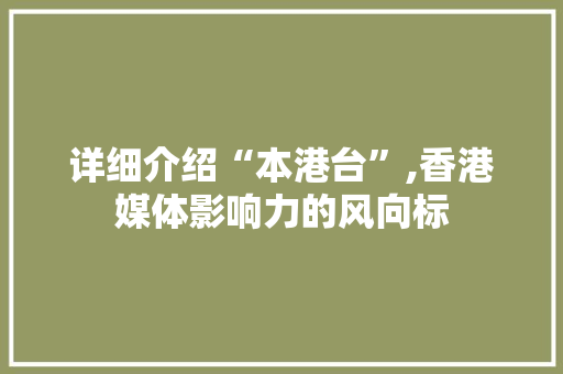 详细介绍“本港台”,香港媒体影响力的风向标