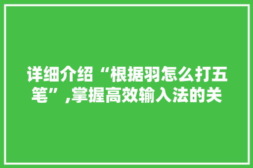 详细介绍“根据羽怎么打五笔”,掌握高效输入法的关键步骤