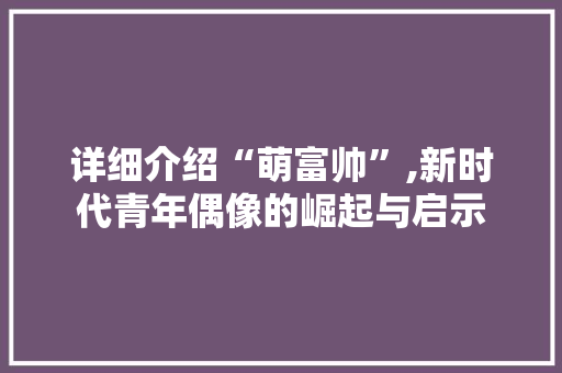 详细介绍“萌富帅”,新时代青年偶像的崛起与启示