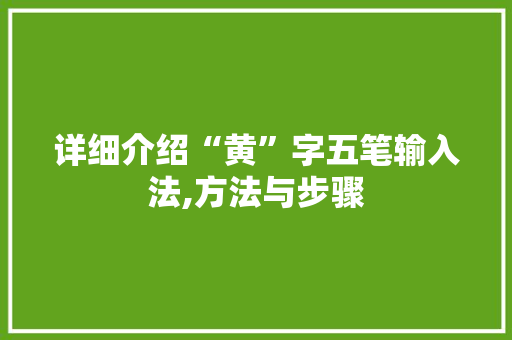 详细介绍“黄”字五笔输入法,方法与步骤