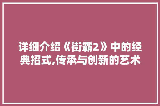 详细介绍《街霸2》中的经典招式,传承与创新的艺术 WordPress教程