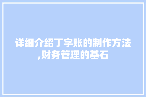 详细介绍丁字账的制作方法,财务管理的基石