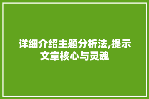 详细介绍主题分析法,提示文章核心与灵魂