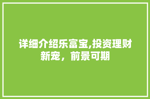 详细介绍乐富宝,投资理财新宠，前景可期 Web前端