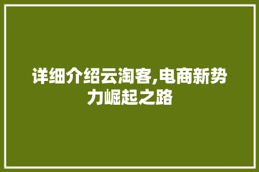 详细介绍云淘客,电商新势力崛起之路