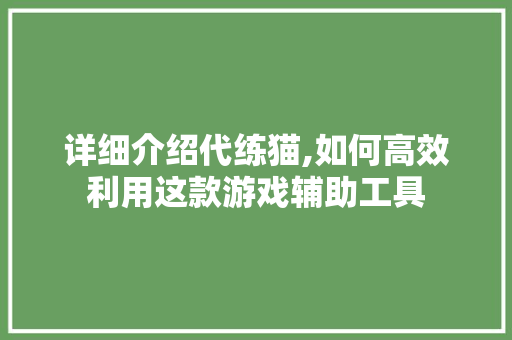 详细介绍代练猫,如何高效利用这款游戏辅助工具 Web前端