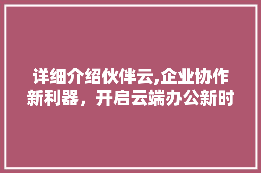 详细介绍伙伴云,企业协作新利器，开启云端办公新时代 建站教程