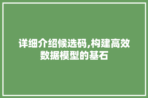 详细介绍候选码,构建高效数据模型的基石