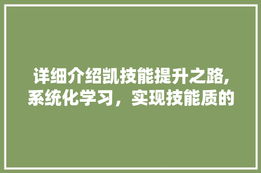 详细介绍凯技能提升之路,系统化学习，实现技能质的飞跃