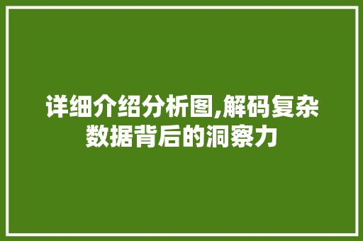 详细介绍分析图,解码复杂数据背后的洞察力