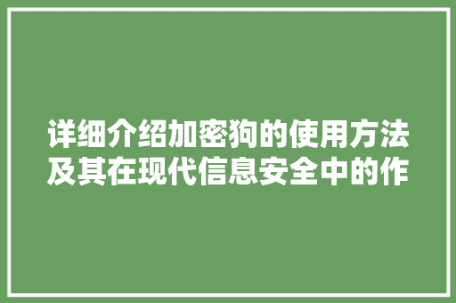 详细介绍加密狗的使用方法及其在现代信息安全中的作用