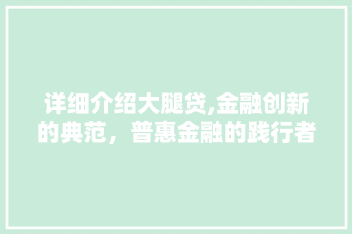 详细介绍大腿贷,金融创新的典范，普惠金融的践行者
