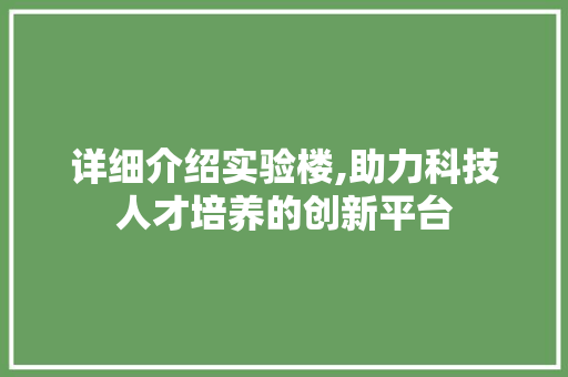 详细介绍实验楼,助力科技人才培养的创新平台