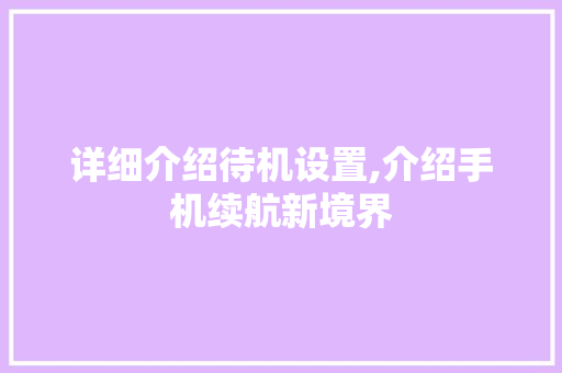 详细介绍待机设置,介绍手机续航新境界