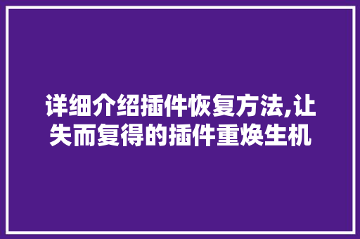 详细介绍插件恢复方法,让失而复得的插件重焕生机