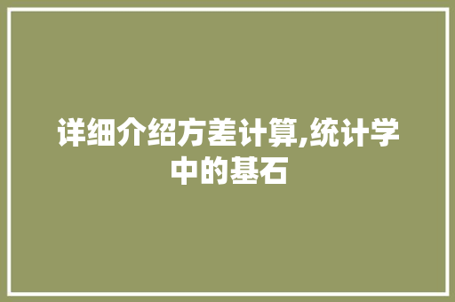 详细介绍方差计算,统计学中的基石
