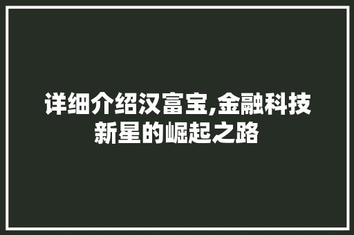 详细介绍汉富宝,金融科技新星的崛起之路