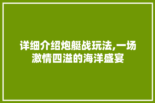 详细介绍炮艇战玩法,一场激情四溢的海洋盛宴 SEO教程