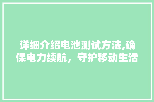 详细介绍电池测试方法,确保电力续航，守护移动生活