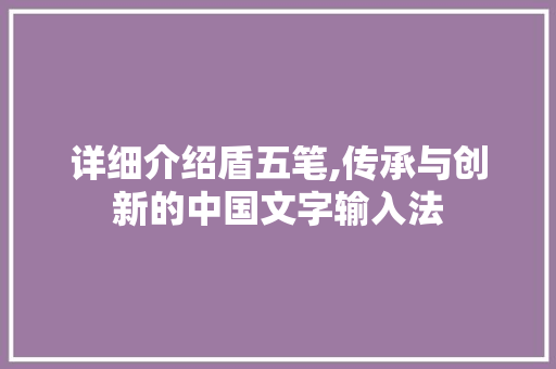 详细介绍盾五笔,传承与创新的中国文字输入法 服务器/数据库