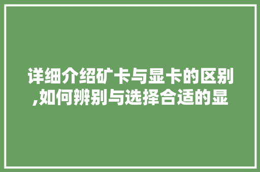 详细介绍矿卡与显卡的区别,如何辨别与选择合适的显卡 建站教程
