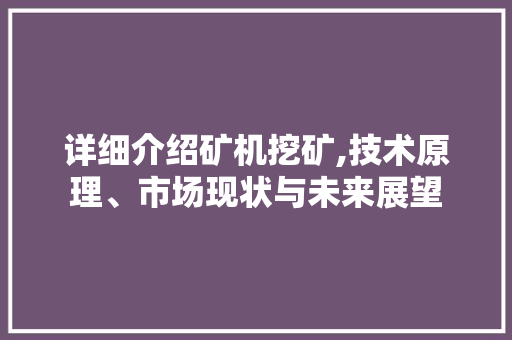 详细介绍矿机挖矿,技术原理、市场现状与未来展望 建站教程