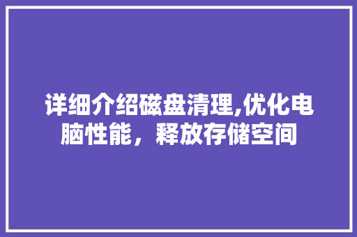 详细介绍磁盘清理,优化电脑性能，释放存储空间 建站教程