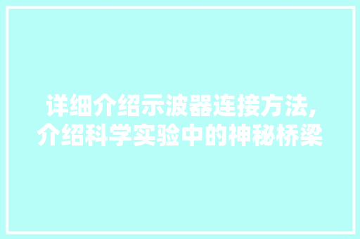 详细介绍示波器连接方法,介绍科学实验中的神秘桥梁 Web前端