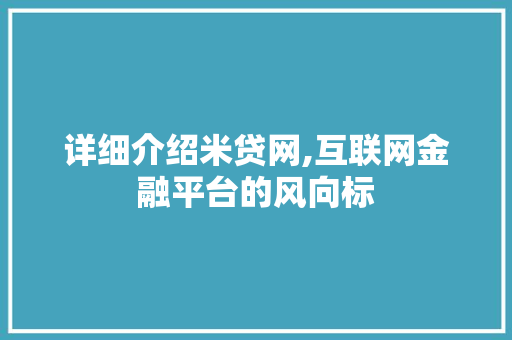 详细介绍米贷网,互联网金融平台的风向标