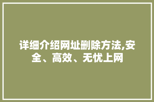 详细介绍网址删除方法,安全、高效、无忧上网