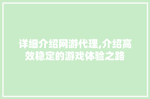 详细介绍网游代理,介绍高效稳定的游戏体验之路