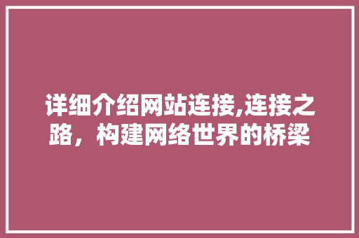 详细介绍网站连接,连接之路，构建网络世界的桥梁