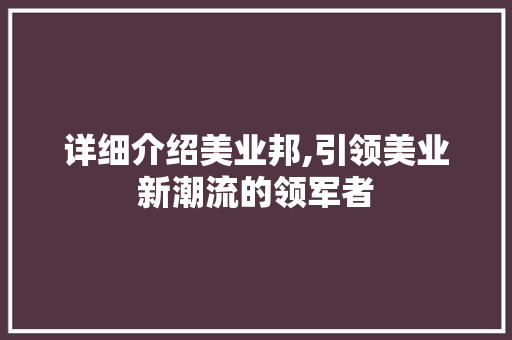 详细介绍美业邦,引领美业新潮流的领军者