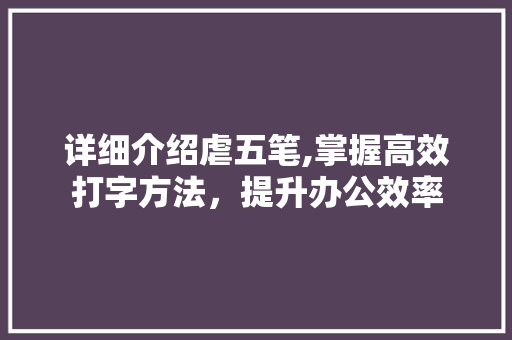 详细介绍虐五笔,掌握高效打字方法，提升办公效率 友链在线