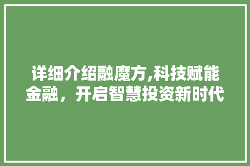 详细介绍融魔方,科技赋能金融，开启智慧投资新时代