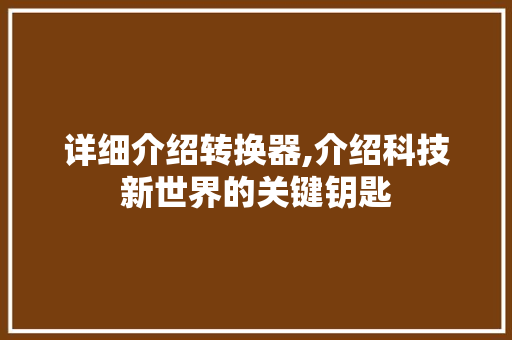 详细介绍转换器,介绍科技新世界的关键钥匙