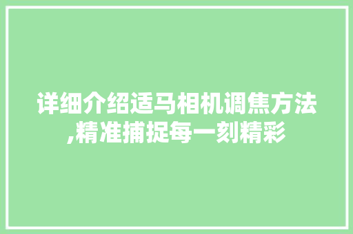 详细介绍适马相机调焦方法,精准捕捉每一刻精彩