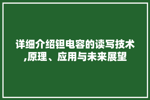 详细介绍钽电容的读写技术,原理、应用与未来展望