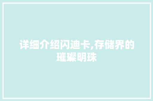 详细介绍闪迪卡,存储界的璀璨明珠 服务器/数据库