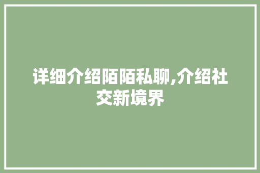 详细介绍陌陌私聊,介绍社交新境界