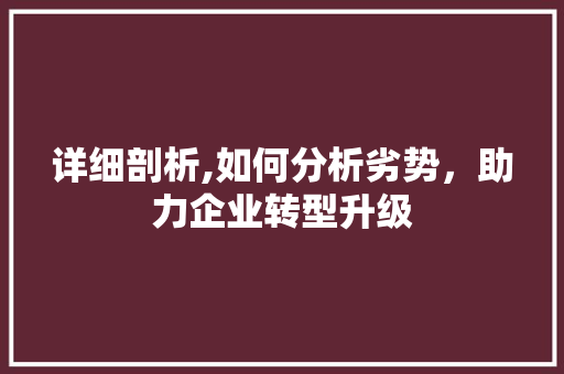详细剖析,如何分析劣势，助力企业转型升级