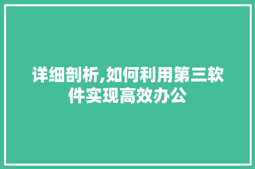 详细剖析,如何利用第三软件实现高效办公